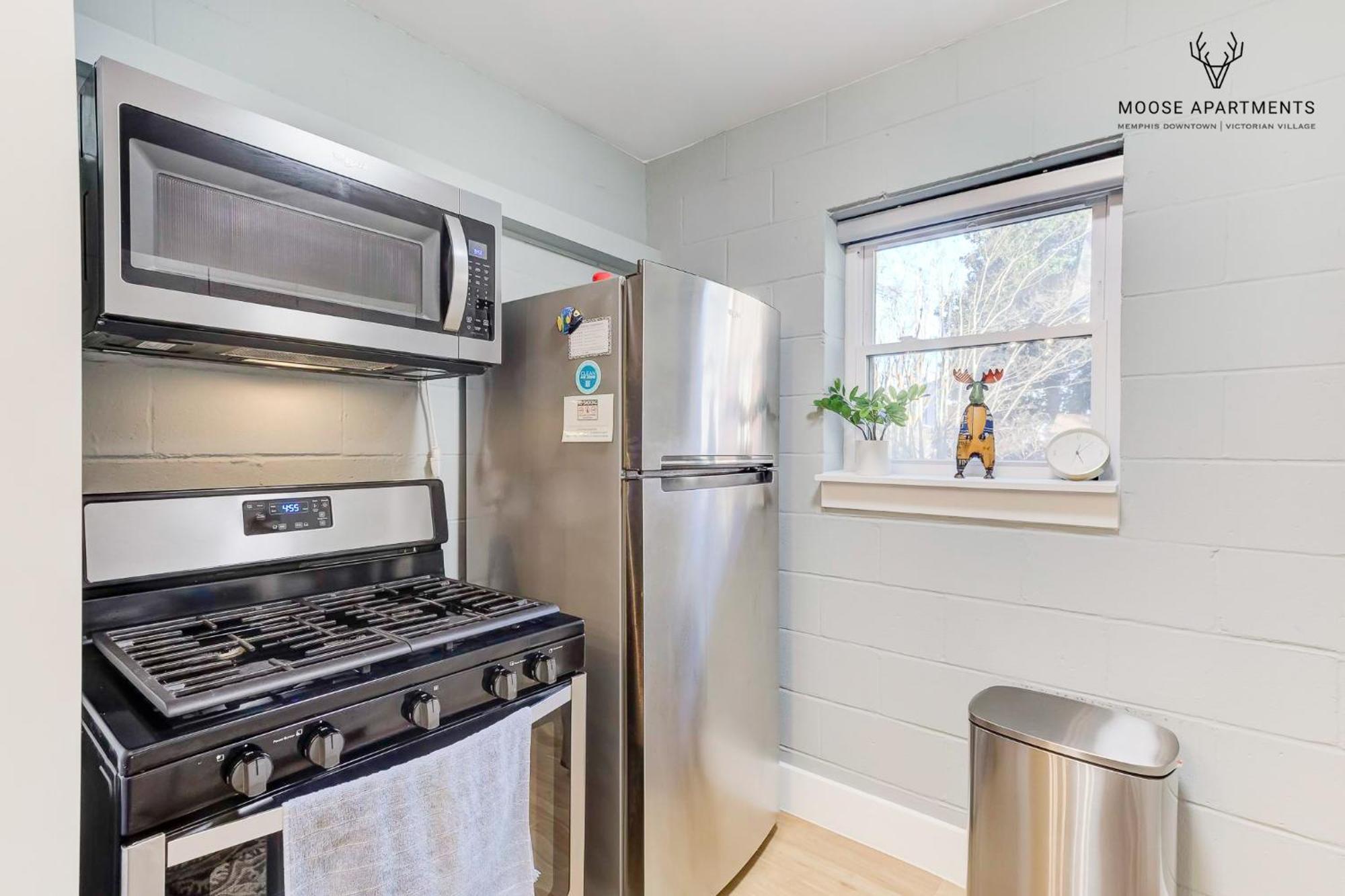 Apartment The Moose #7 - Instaworthy With Amazing Views, Free Parking & Heated King Bed Memphis